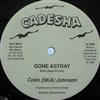 lataa albumi Colin (SKA) Johnson - Gone Astray