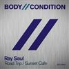 descargar álbum Ray Saul - Road Trip