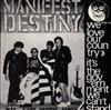 last ned album Manifest Destiny - We Love Our Country Its The Government We Cant Stand