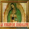 last ned album Enrique Rocha - La Virgen De Guadalupe En La Voz De Enrique Rocha