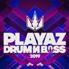 lataa albumi Various - Playaz Drum Bass 2019