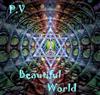 last ned album PV - Beautiful World
