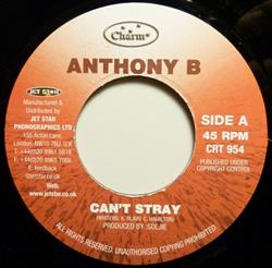 Download Anthony B - Cant Stray