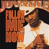 lataa albumi Juvenile - Follow Me Now
