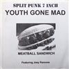 écouter en ligne Youth Gone Mad Featuring Joey Ramone, False Alarm - Split Punk 7 Inch