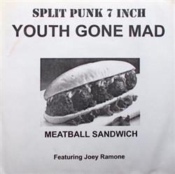 Download Youth Gone Mad Featuring Joey Ramone, False Alarm - Split Punk 7 Inch