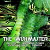 online anhören The Wishmaster - Bad Trip Sagittarius Flower Scorching Heat Paradox