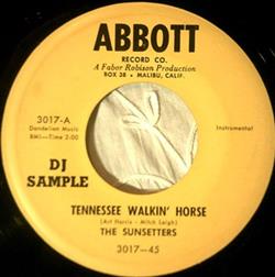 Download The Sunsetters - Tennessee Walkin Horse Waltzing Willie