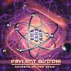 lataa albumi Psylent Buddhi - Secrets Of The Atom