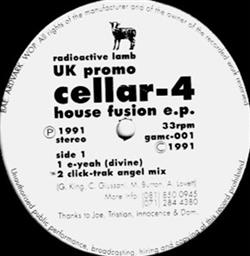 Download Cellar4 - House Fusion