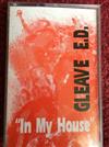 Gleave ED - Intelligence In My House
