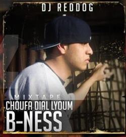 Download DJ Reddog - Choufa Dial Lyoum B Ness Mixtape
