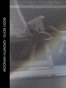 Download Body Boys - Growth Window