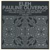 baixar álbum Eleh Pauline Oliveros - The Beauty Of The Steel Skeleton Drifting Depths