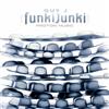 baixar álbum Guy J - Funkijunki
