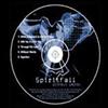 lataa albumi Spiritfall - Without Words