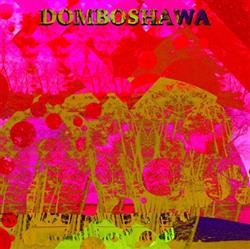 Download Domboshawa - Beyond Vibrations