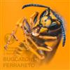 ladda ner album Bug Catcher FERRARETO - Bug Catcher FERRA RETO