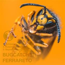 Download Bug Catcher FERRARETO - Bug Catcher FERRA RETO