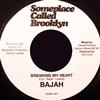Album herunterladen Bajah - Breaking My Heart