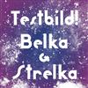 baixar álbum Testbild! - Belka Strelka