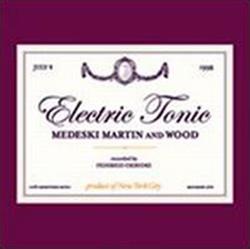 Download Medeski Martin & Wood - Electric Tonic