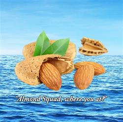 Download Shima33 - Almond Squad