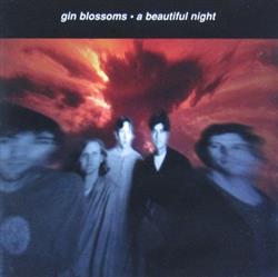 Download Gin Blossoms - A Beautiful Night