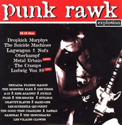 Download Various - Punk Rawk Explosion 12