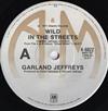 baixar álbum Garland Jeffreys - Wild In The Street