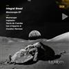ouvir online Integral Bread - Moonscape EP