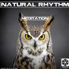 ladda ner album Natural Rhythm - Meditation