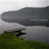 baixar álbum A Quiet Norway - Into A Mirror