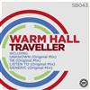 Album herunterladen Warm Hall - Traveller