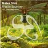 télécharger l'album Malek Slim - Mystic Journey