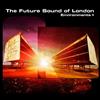 online anhören The Future Sound Of London - Environments 4