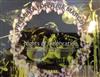 baixar álbum Premiata Forneria Marconi - Nights Of Celebration