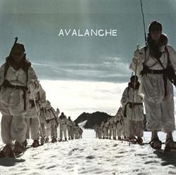 Download Wonder Bear - Avalanche