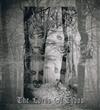 ladda ner album Wald - The Lords Of Chaos