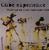 lytte på nettet Cube Experience - Wake Me Up When September Ends