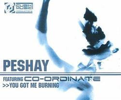 Download Peshay - You Got Me Burning Fuzion