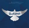 Ministério Adoração E Vida - Shekinah