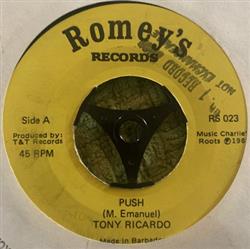 Download Tony Ricardo - Push Got A Little Something For You