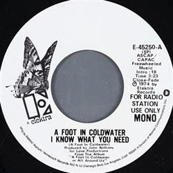 Download A Foot In Coldwater - I Know What You Need