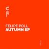 Felipe Poll - Autumn Ep
