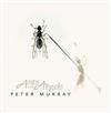 Peter Murray - Ants and Angels