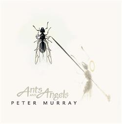 Download Peter Murray - Ants and Angels