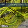 ouvir online Dominik Paß - Transcendere LP