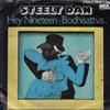 baixar álbum Steely Dan - Hey Nineteen