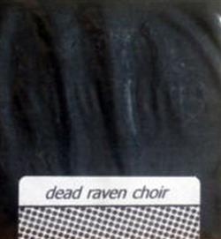 Download Dead Raven Choir - Sturmfuckinglieder